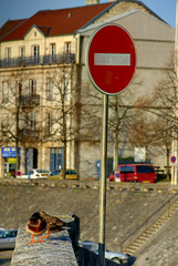 Hé les canards!!! Interdiction de stationner...