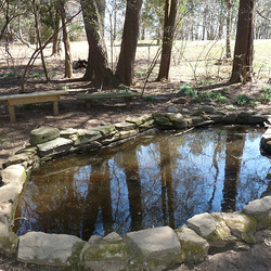 Woodend Nature Sanctuary