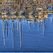 FREJUS: Reflet de bateaux à Port-Fréjus.