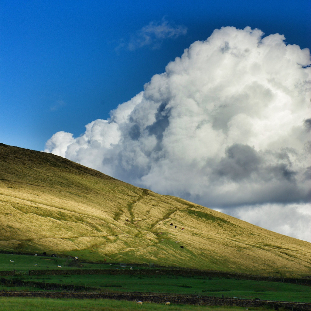 Peak Naze tracks