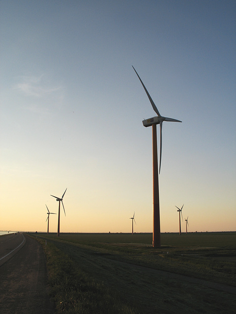 Windmills at Sunset