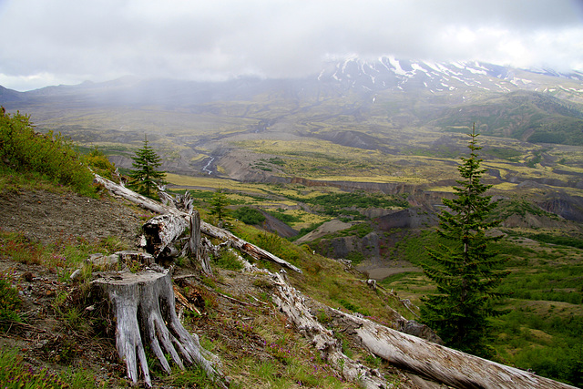 Mount St. Helens