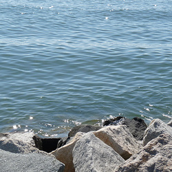 waters off Tilghman Island