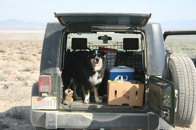 Jack in the Jeep