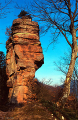 Rocher du Vieux-Windstein