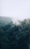 Mountain Clouds, Springbrook, Queensland