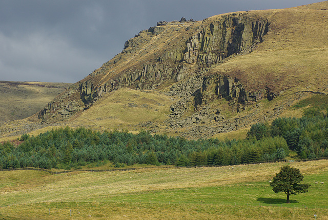 Great Dove Stone Rocks