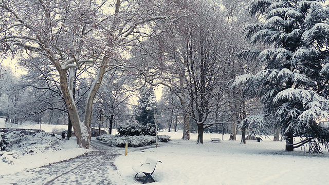 BESANCON: Première neige.