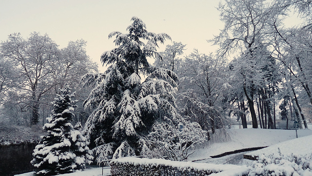 BESANCON: Première neige.