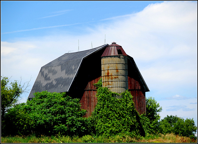 A Barn