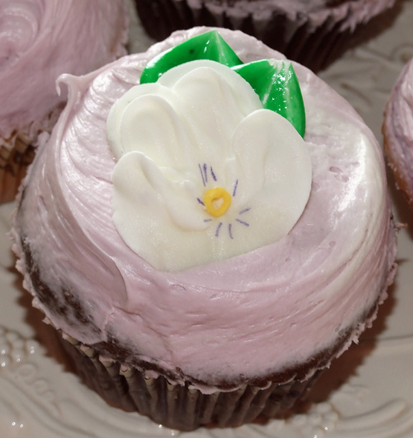 Custom Cupcakes from Crumbs Bake Shop at Amanda's Bridal Shower, April 2009