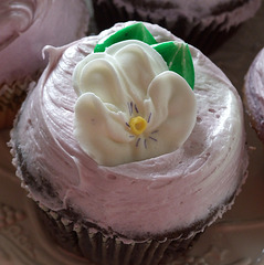 Custom Cupcakes from Crumbs Bake Shop at Amanda's Bridal Shower, April 2009