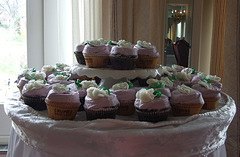 Custom Cupcakes from Crumbs Bake Shop at Amanda's Bridal Shower, April 2009