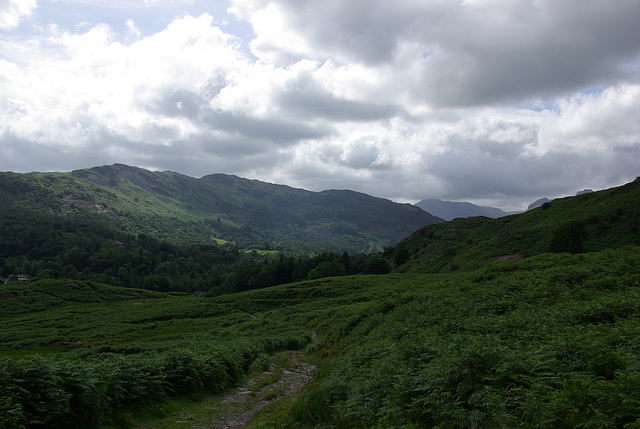 Lingmoor Fell in the light