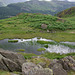 On Dow Bank - Crinkle Crags far right horizon