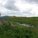 On top of Dow Bank - walked up from Elterwater Village