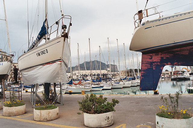 Boats in the Harbor in Palermo, March 2005