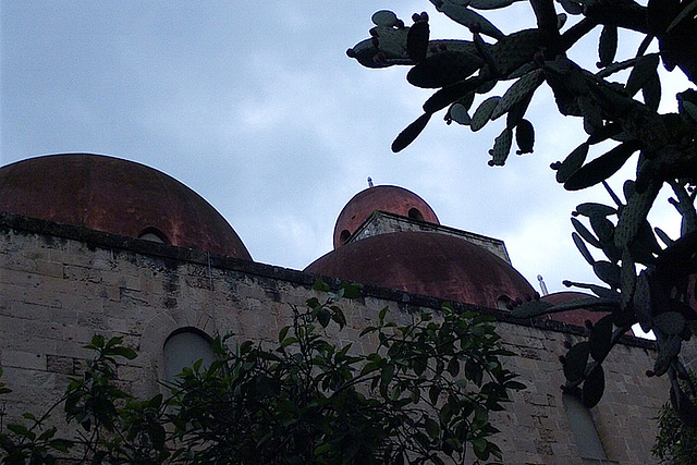 The Church of St. John of the Hermits in Palermo, March 2005