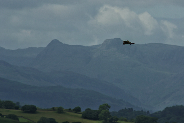 The Langdale Pikes