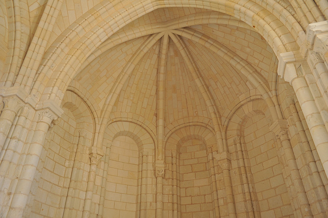 Voûtes de la Chapelle St-Benoît de l'abbaye de Fontevraud