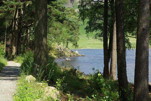 Sunny at Blea Tarn