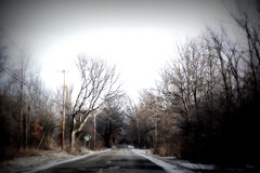 The road