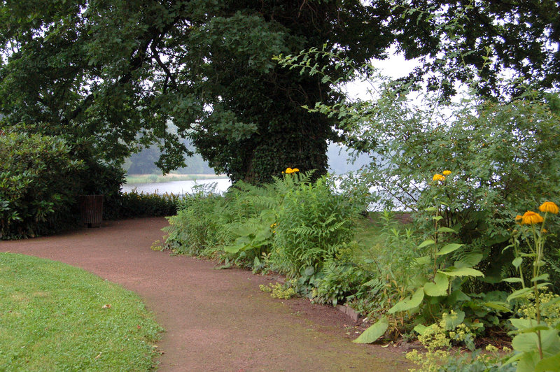 Rozinsulo: vojo kun herbejo, arbo kaj lago (Roseninsel: Weg mit Wiese, Baum und See)