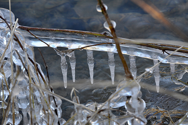 BESANCON: Glaçons le long du Doubs...