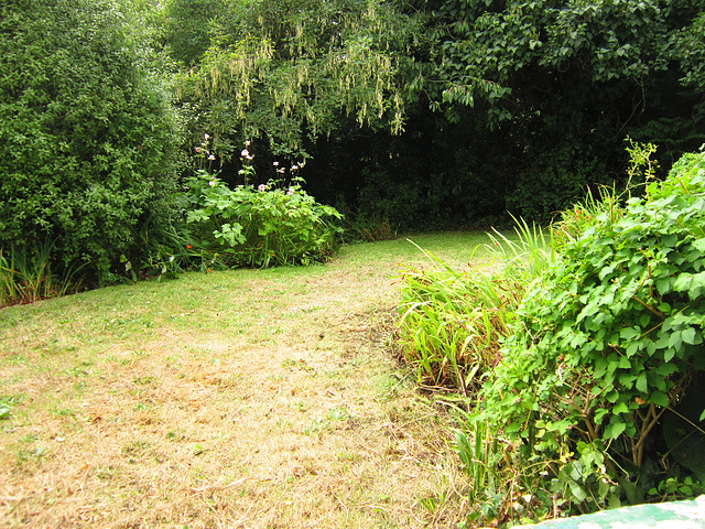 The top garden looking tidier now