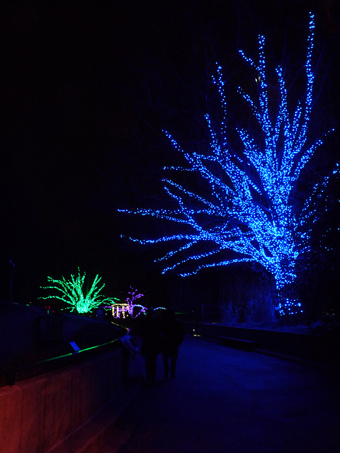 Zoolights