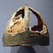 Ostrogoth Helmet in the Metropolitan Museum of Art, September 2010