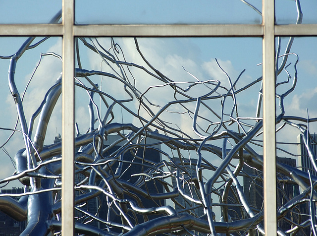 Reflection of Maelstrom by Roxy Paine on the Roof Garden of the Metropolitan Museum of Art, June 2009