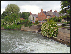 river at Osney Weir