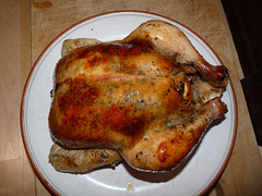 our little bird our little bird