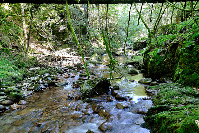 PLANCHER-LES-MINES: Le saut de la truite.