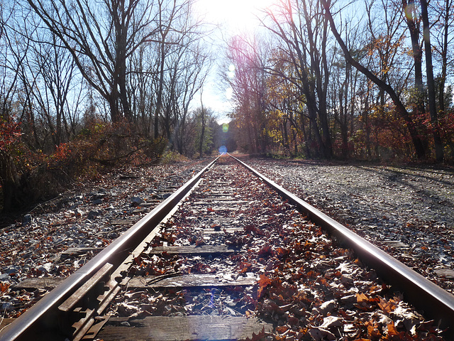 lonely tracks