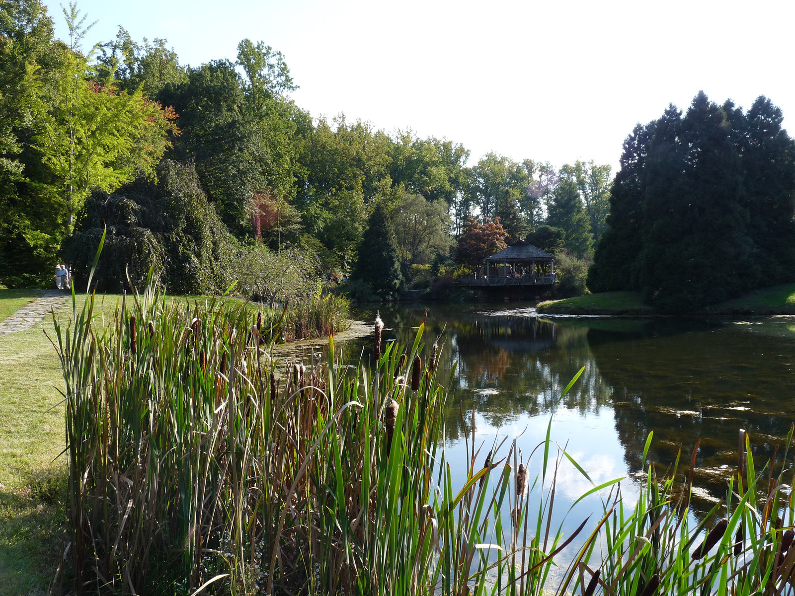 Brookside Gardens