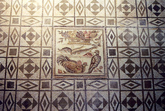Geometric Mosaic With a Central Insert in the Palazzo Massimo alle Terme Museum in Rome, Dec. 2003
