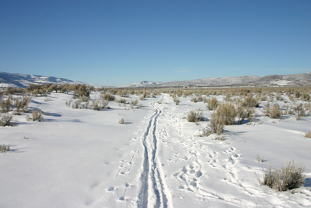 Washoe Valley