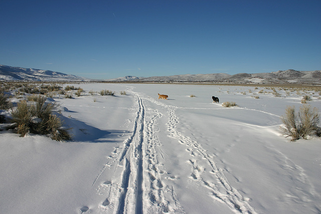 Washoe Valley