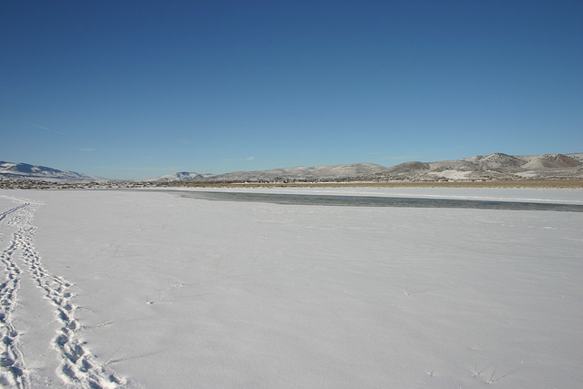 Washoe Valley