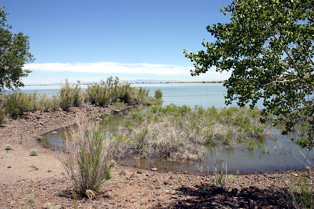 Lahontan Reservoir