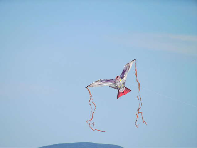 Flying above Eagle Summit