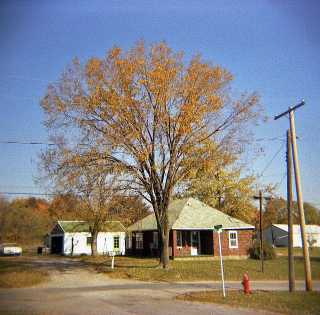 Enfield House In Autumn