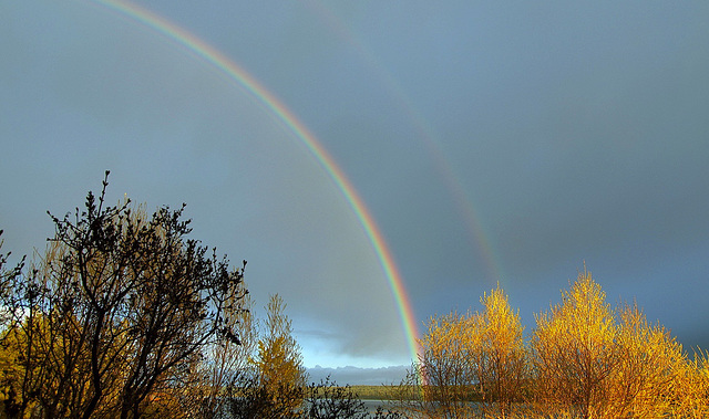 Lac La Hache, BC