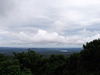 Peeping, Sunshine Coast Hinterland, Queensland, Australia