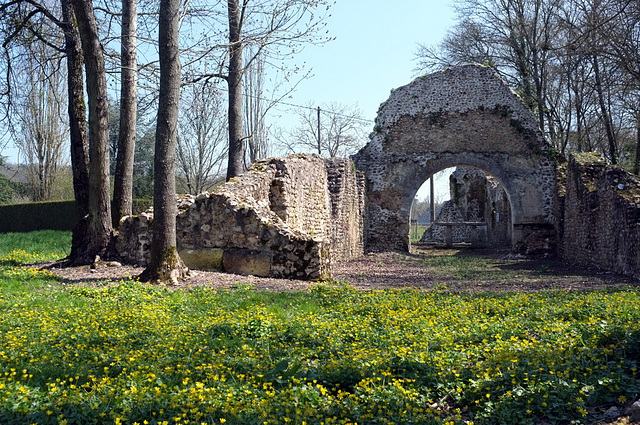 Ruines de l'église St-Médard du Villalet - Eure