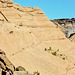 Crossbedding in de Chelly Sandstone.