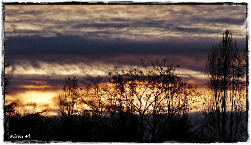 ANGERS