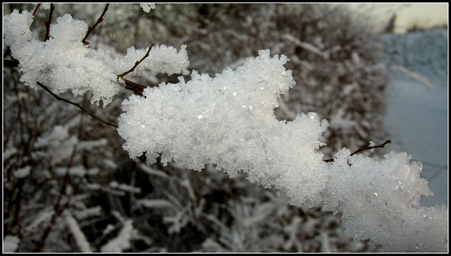 Cristaux de glace au Salbert.